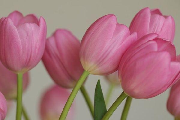 Cistiti ricorrenti: come prevenirle